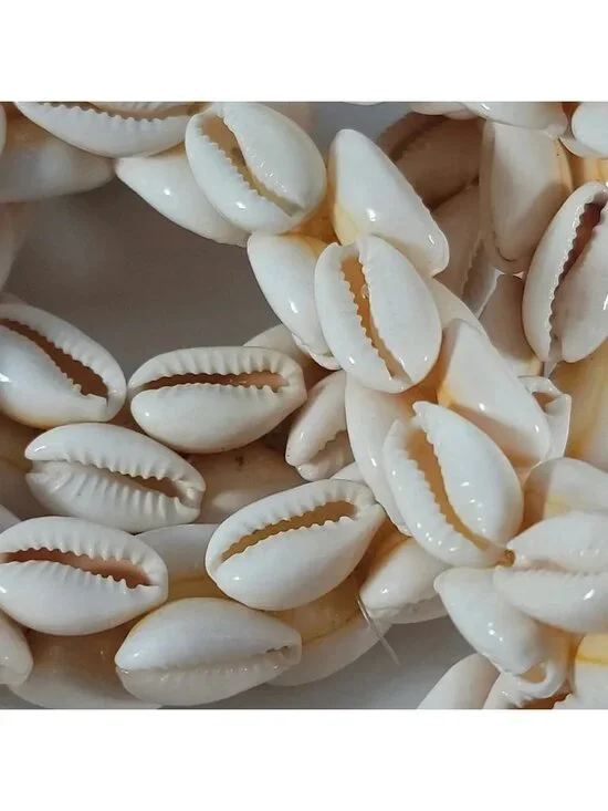 VTG Handmade Cowrie Puka Shells Beaded Lei Hawaii Beach Tiki Necklace 36" - Picture 2 of 5